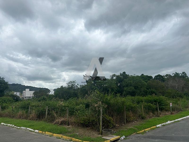 Lindo terreno bairro Santa Regina — foto 3