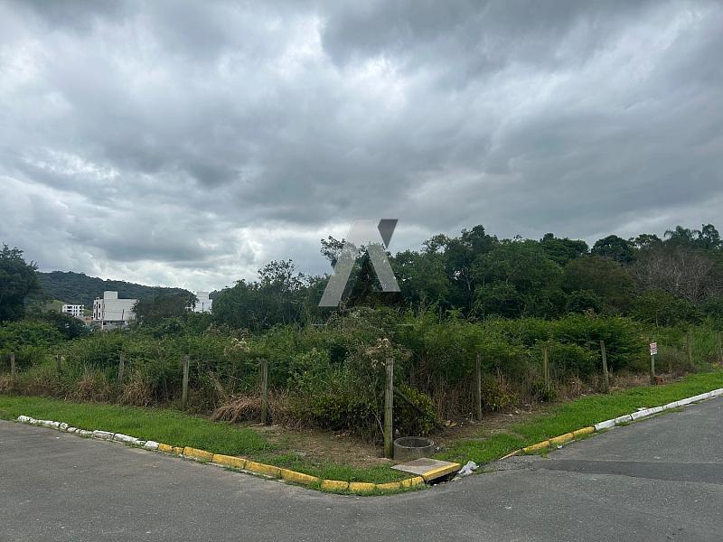 Lindo terreno bairro Santa Regina — foto 2