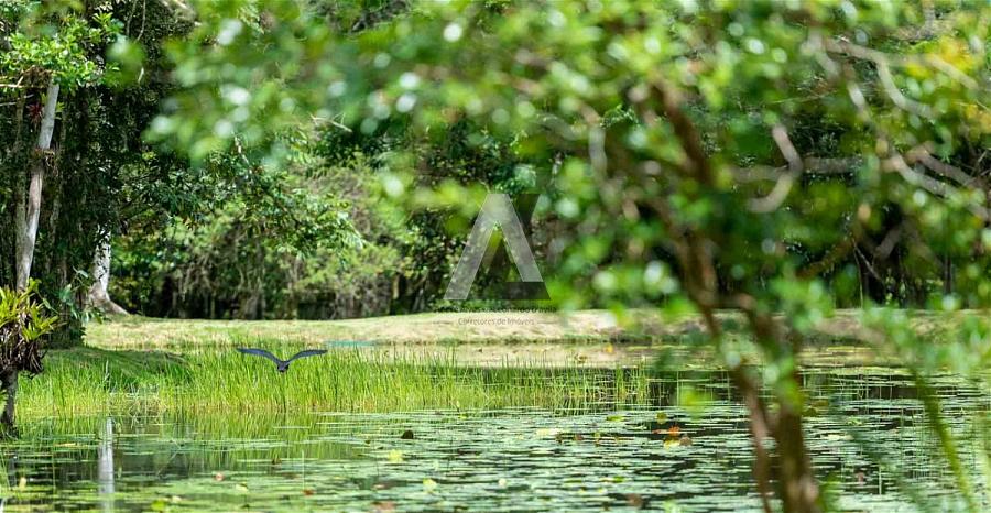 Terreno em Condomínio Residencial — foto 10
