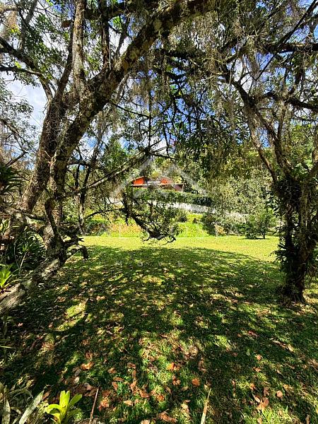 Casa em Condomínio com 6 quartos à venda, 530m², 8 banheiros, 6 garagens - Carlos Guinle - Teresópolis — foto 5